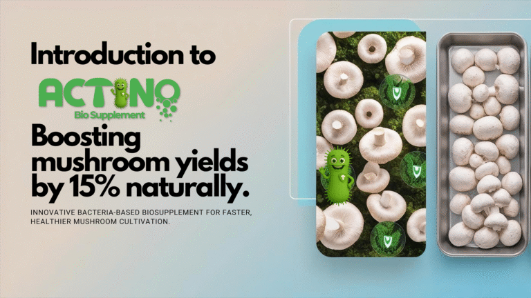 Introduction to ACTINO